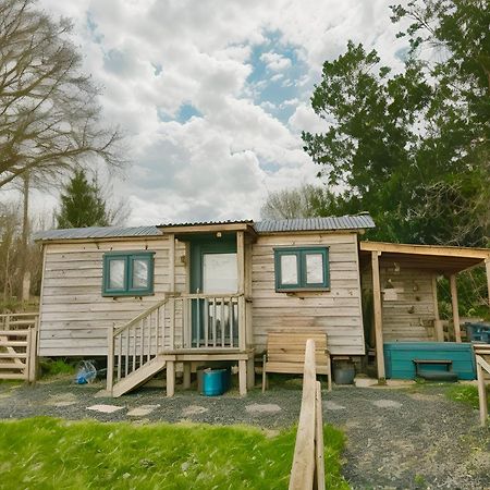Lle Mary - Beautiful Views, Hot Tub, Secluded, Dog Welcome, Barmouth Llanddwywe ภายนอก รูปภาพ