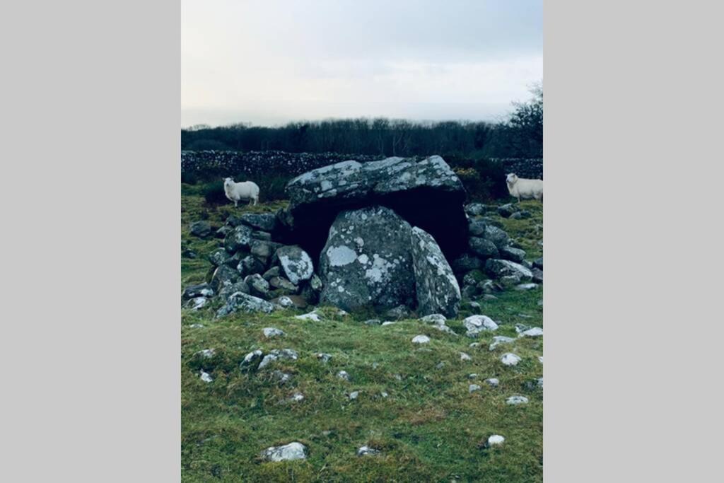 Lle Mary - Beautiful Views, Hot Tub, Secluded, Dog Welcome, Barmouth Llanddwywe ภายนอก รูปภาพ