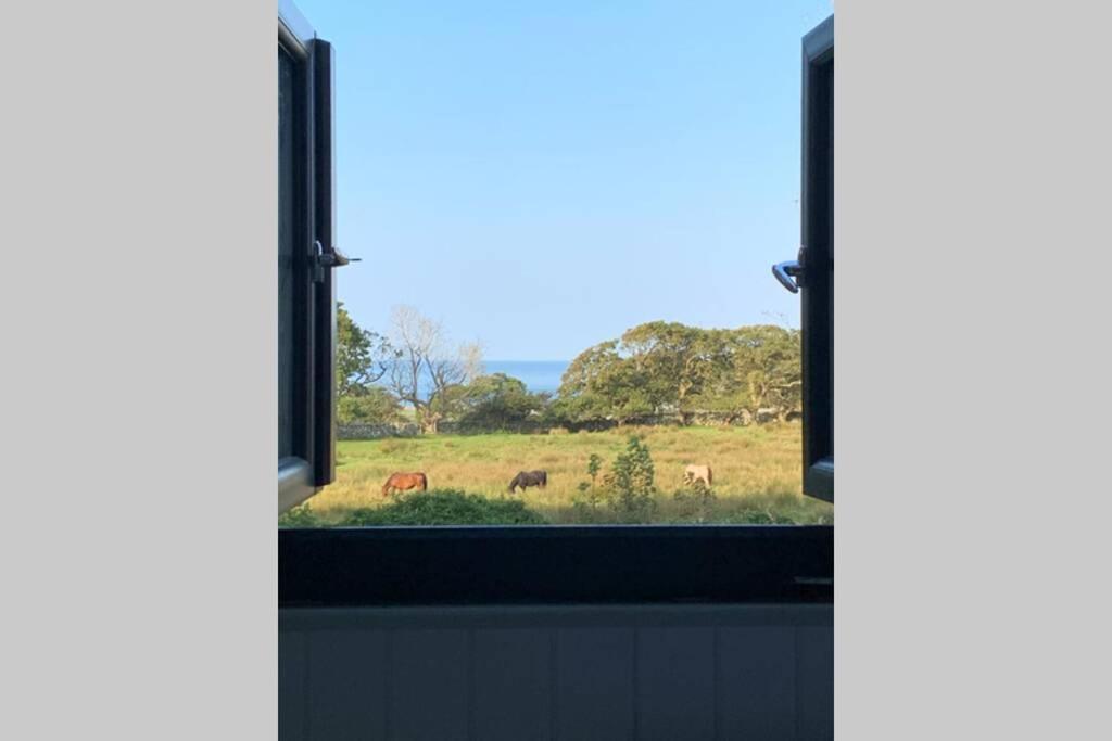 Lle Mary - Beautiful Views, Hot Tub, Secluded, Dog Welcome, Barmouth Llanddwywe ภายนอก รูปภาพ